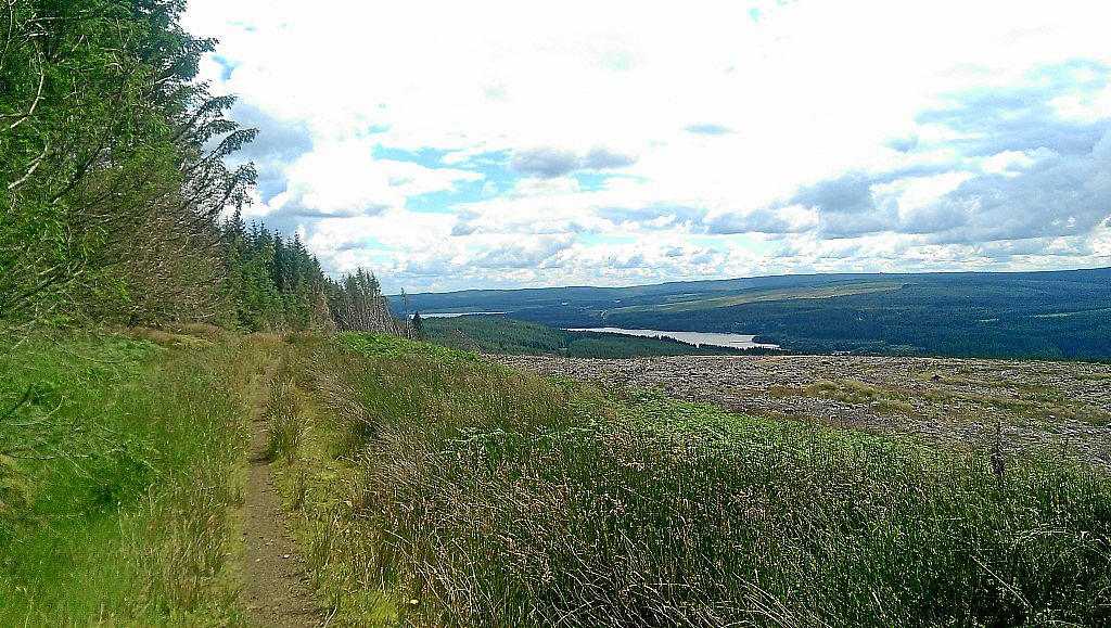 Osprey-MTB-Trail - Kielder