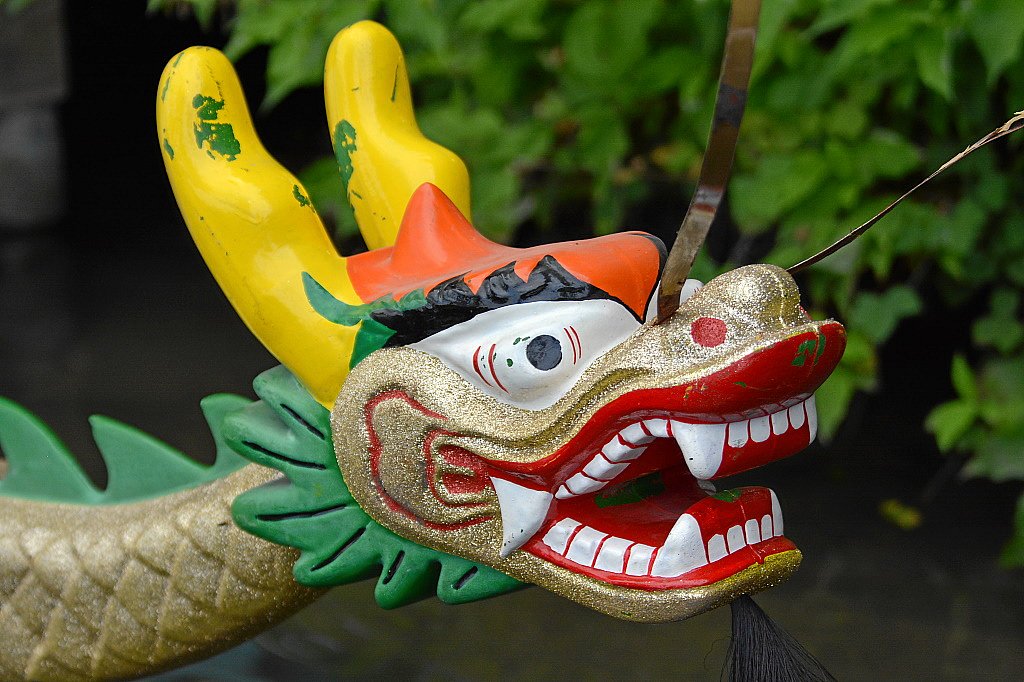 Drachenbootlehrercuo 2017