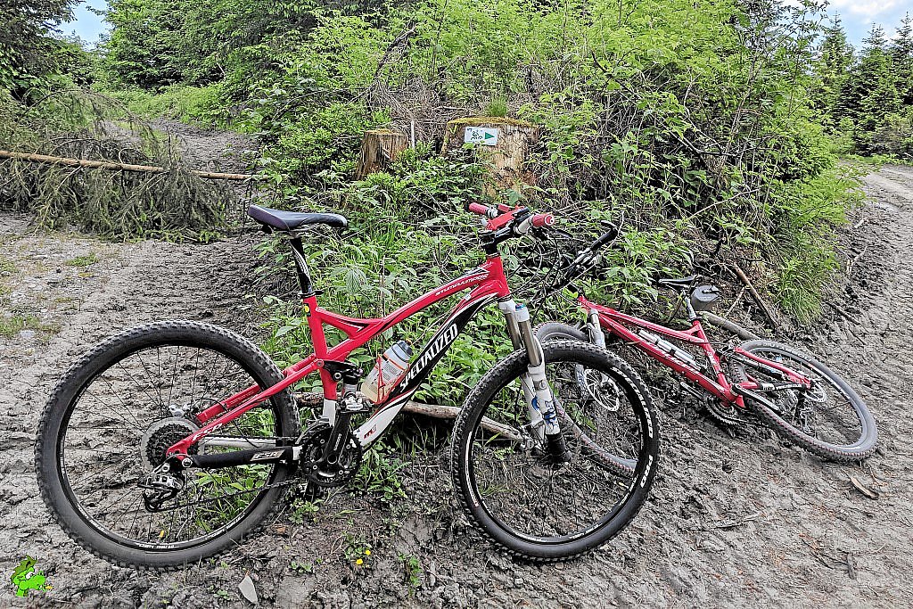 Mit dem MTB im Harz (O7)