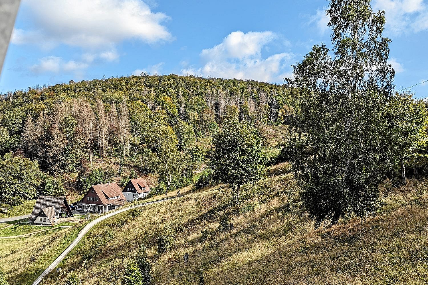 MTB-Park Sankt Andreasberg