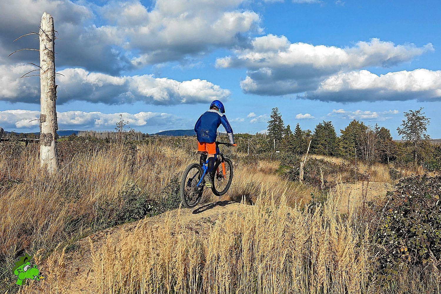 MTB-Park Sankt Andreasberg